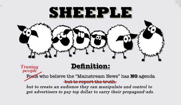 Media Sheep