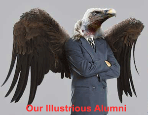 Vulturus Harvardus