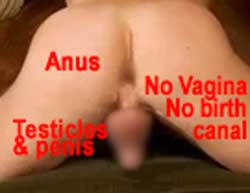 no vagina