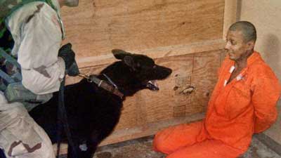 How US forces used killer dogs to maim and torture inmates